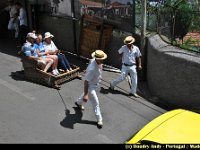 Portugal - Madere - Funchal - 020